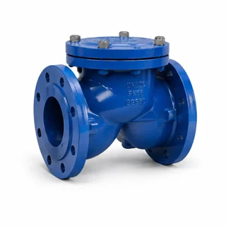 شیر یکطرفه چدنی زبانه لاستیکی "5 اینچ (DN125) فاراب F6